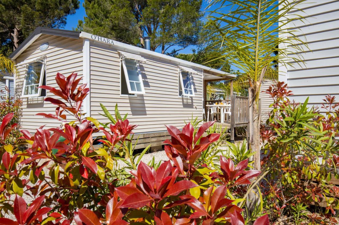 Camping Taxo Les Pins Argelès-sur-Mer Exteriér fotografie