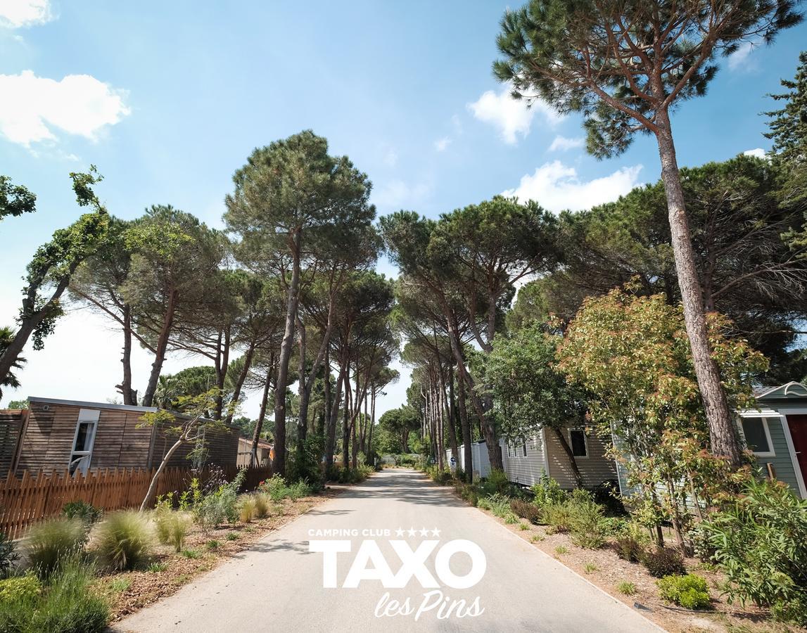Camping Taxo Les Pins Argelès-sur-Mer Exteriér fotografie
