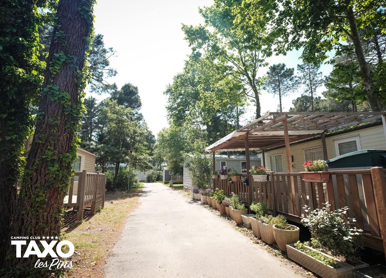 Camping Taxo Les Pins Argelès-sur-Mer Exteriér fotografie