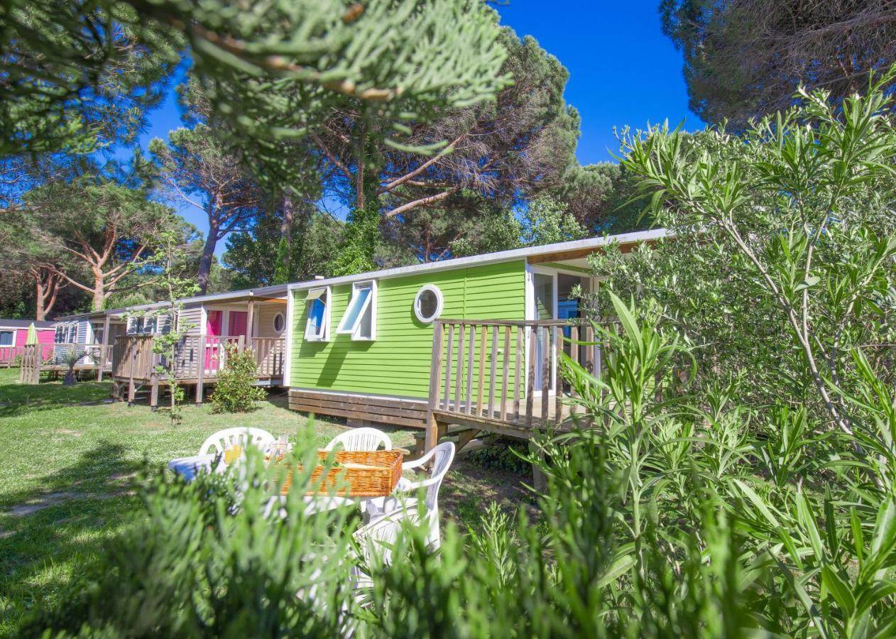 Camping Taxo Les Pins Argelès-sur-Mer Exteriér fotografie